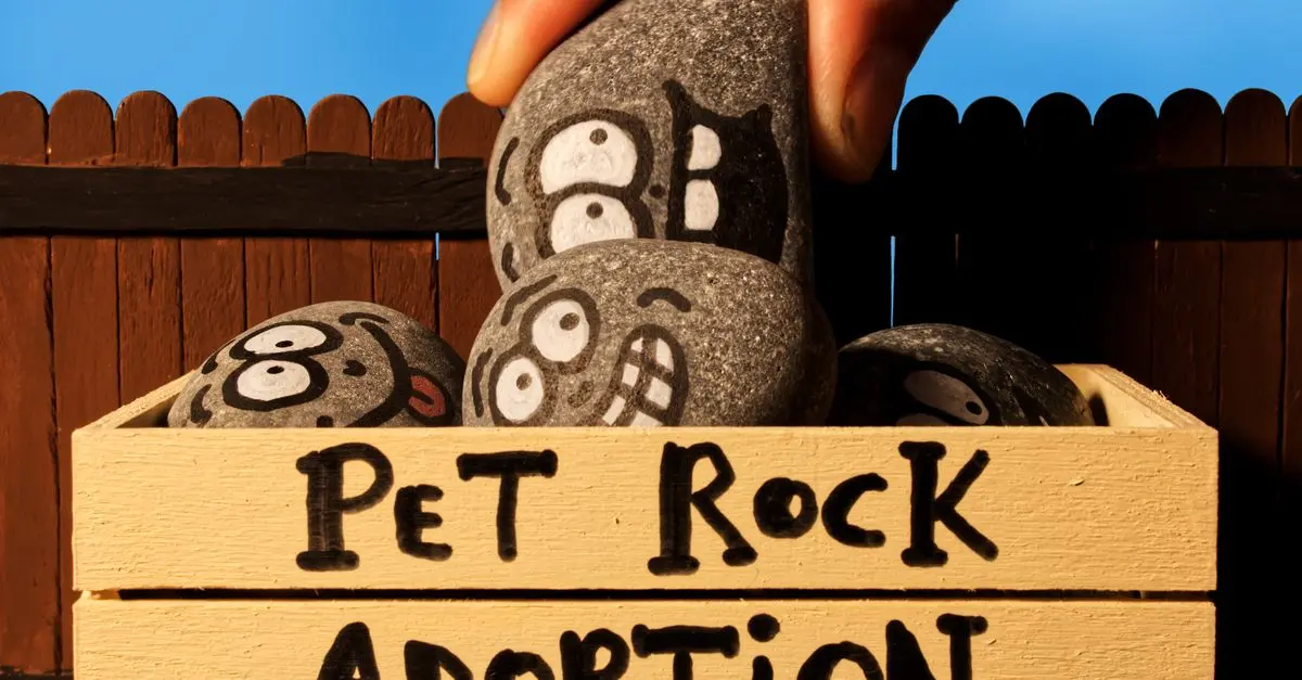 Navigating the Adoption Process for Pets: A Complete Guide